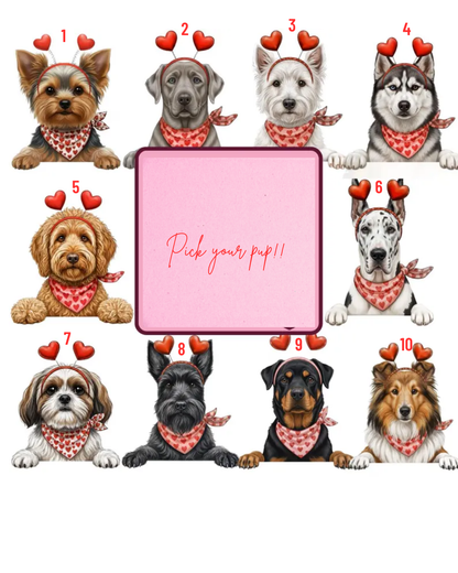 Valentine Pups